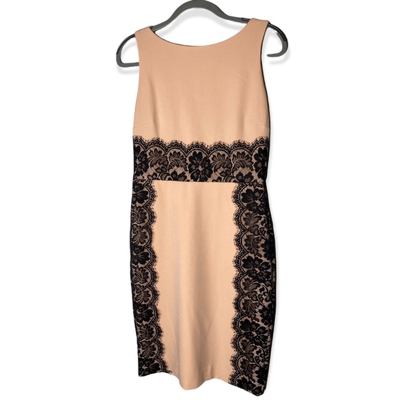 The Limited Blush w/ Black Lace Sleeveless Mid length Dress Women's Size 4 - Picture 2 of 9